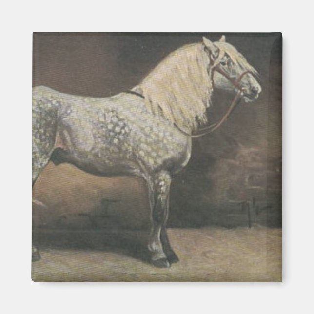 Imã Vintage Dapple Cinza (Frente)