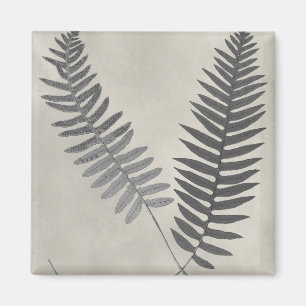Imã Vintage Ferns
