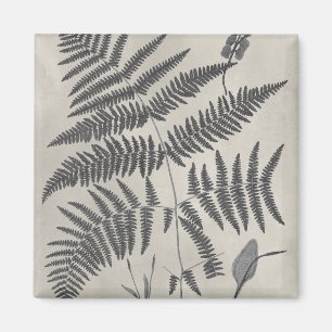 Imã Vintage Ferns