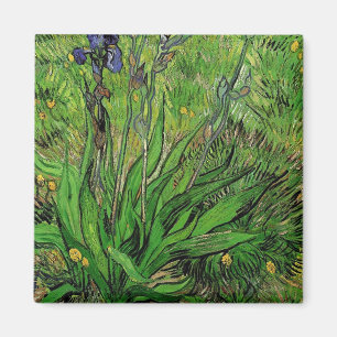 Imã Vintage floral Iris por Vincent van Gogh