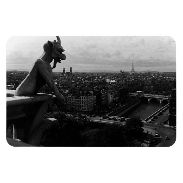 Ímã Vintage France Paris Notre Dame Catthevil (Horizontal)