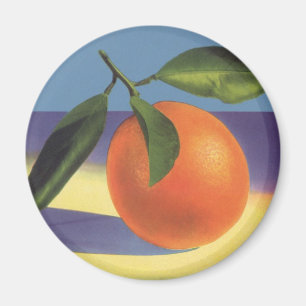 Imã Vintage Fruta Crate Label Art, Laranjas Juciosas