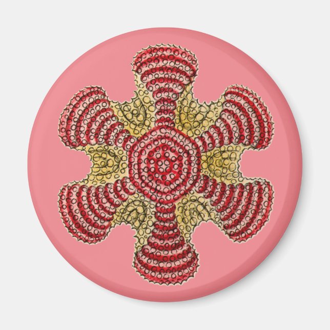 Imã Vintage Haeckel (Frente)