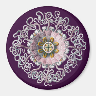 Imã Vintage Haeckel Personalizável