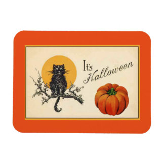 Ímã Vintage Halloween Cat