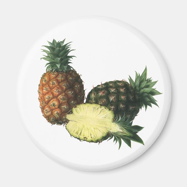 Imã Vintage Hawaiian Pineapple, Organic Comida Fruta (Frente)