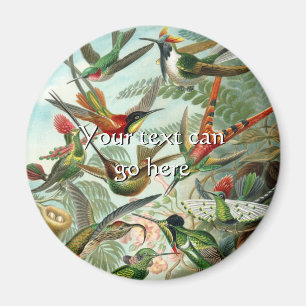 Imã Vintage Hummingbird
