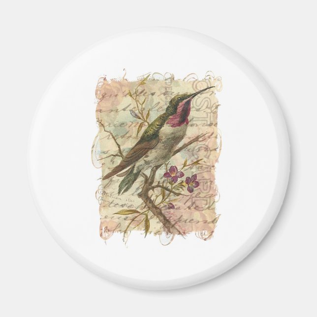 Imã Vintage Hummingbird (Frente)