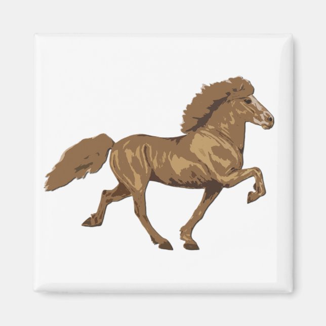 Imã Vintage islandês de 1930 (Frente)