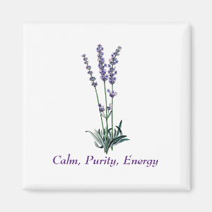 Imã Vintage Lavanda Flor