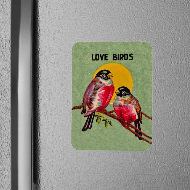 Ímã Vintage Love Birds Sun (Two red love birds sitting together on a branch in front of sun on green frig magnet.)