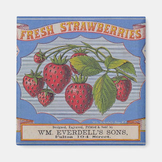 Imã Vintage Morangos Frescos