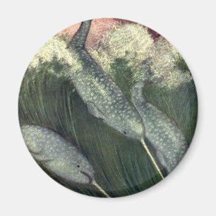 Imã Vintage Narbaleias, Animais do Oceano de Baleias M