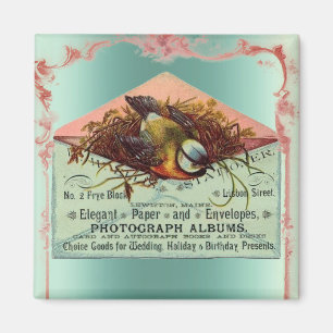 Imã Vintage nidificando pássaro rosa-rosa, doce elegan