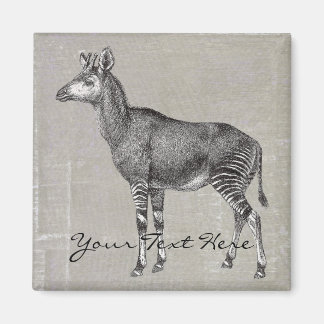 Imã Vintage Okapi