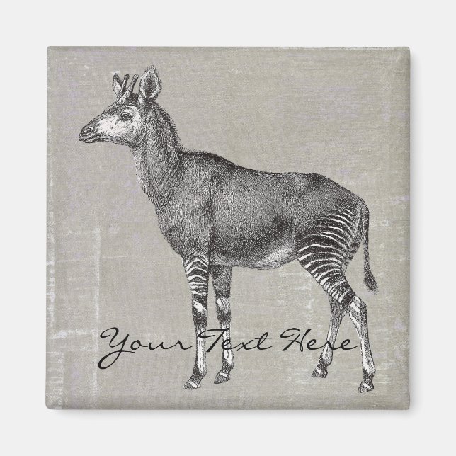 Imã Vintage Okapi (Frente)
