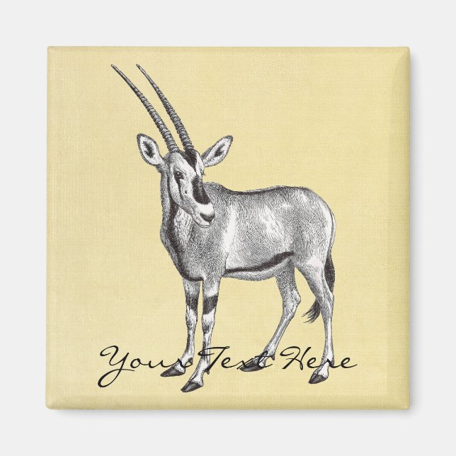 Imã Vintage Oryx Magnet (Frente)