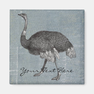 Imã Vintage Ostrich