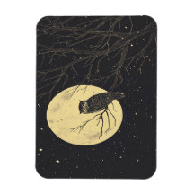 Vintage Owl Art Sob Um Céu Ligado