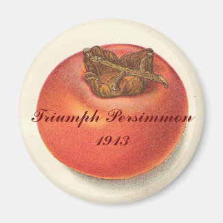 Imã Vintage Persimmon Magnet