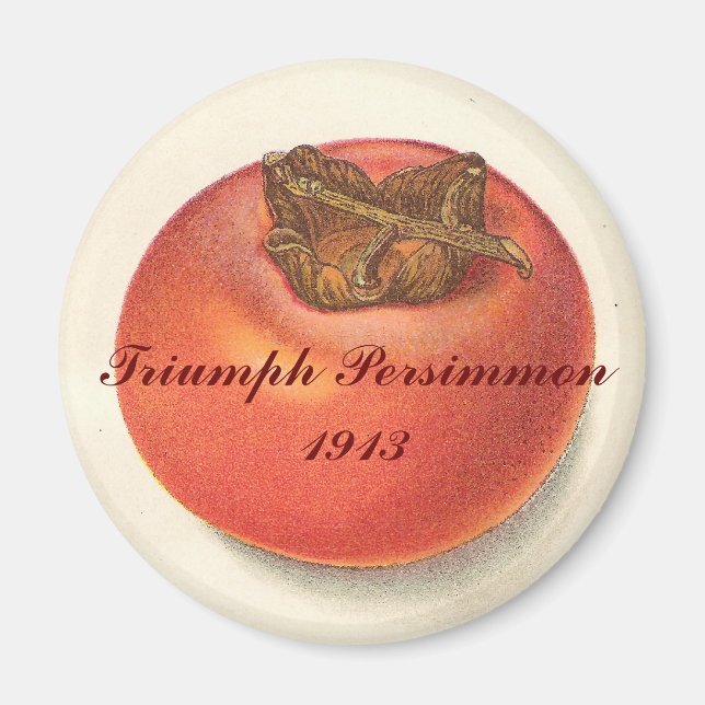Imã Vintage Persimmon Magnet (Frente)