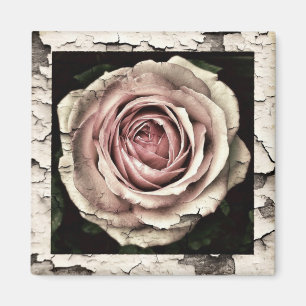 Imã Vintage Pink Rose