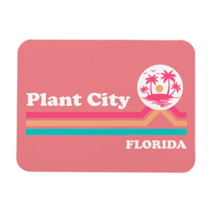 Ímã Vintage Plant City na Flórida