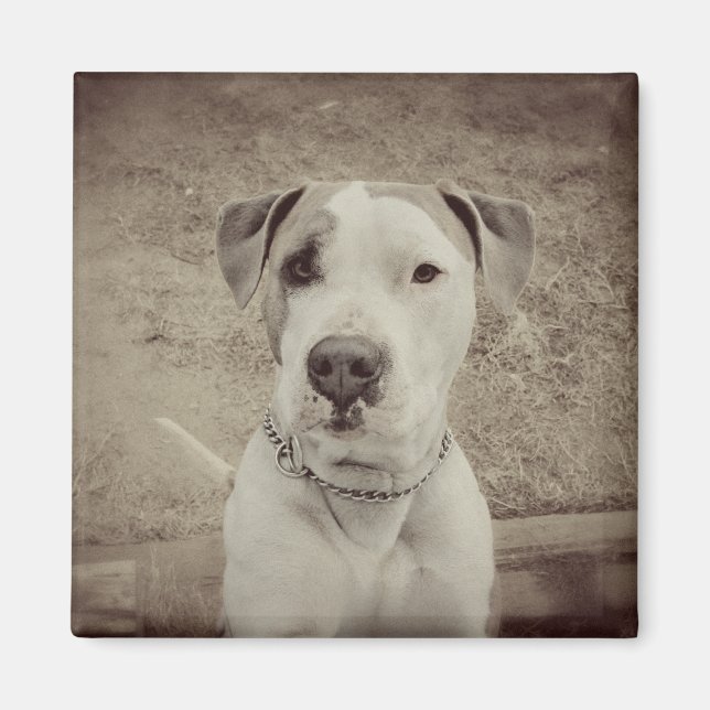 Imã Vintage Polo (Frente)