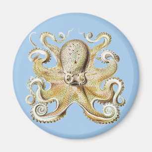 Imã Vintage Polvo Ernst Haeckel Náutico Vida Marinha