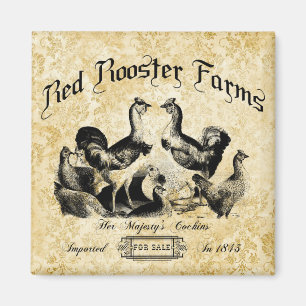 Imã Vintage Poultry Fazenda Advertisement 
