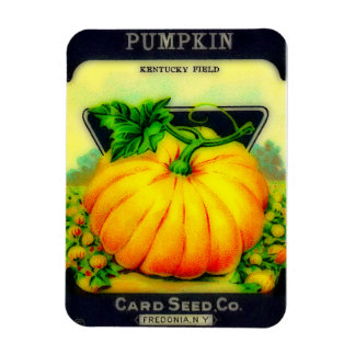Ímã Vintage Pumpkin Seeds Packet - Magnet