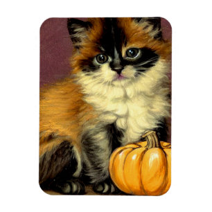 Ímã Vintage Ragdoll Halloween Cat