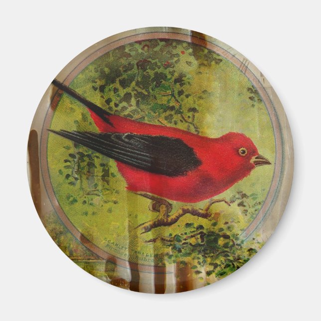Imã Vintage Red Bird (Frente)