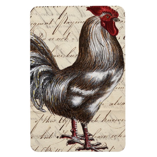 Ímã Vintage Rooster (Vertical)