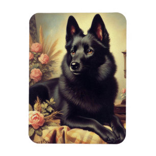 Ímã Vintage Schipperke Dog Painting