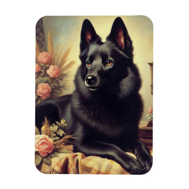 Ímã Vintage Schipperke Dog Painting (Vertical)