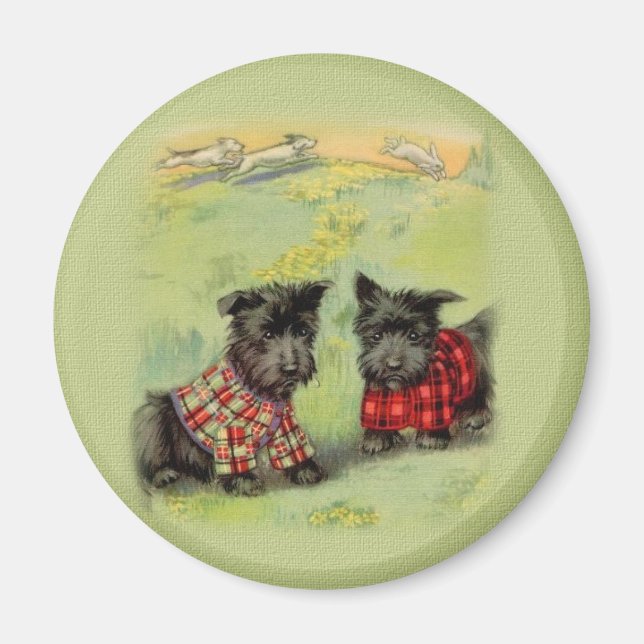 Imã Vintage Scottish Terrier Round Magnet (Frente)