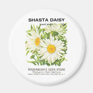 Imã Vintage Seed Packet Art, Shasta Daisy Flowers