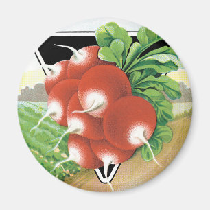 Imã Vintage Seed Packet Label Art, Rabanetes De Escarl