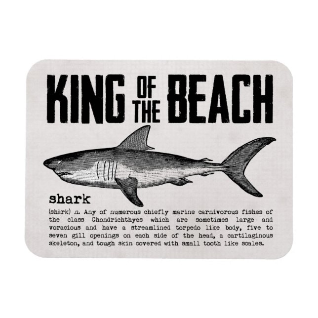 Ímã Vintage Shark and Definition Beach King (Horizontal)