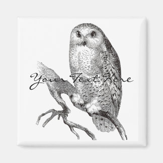 Imã Vintage Snowy Owl Magnet