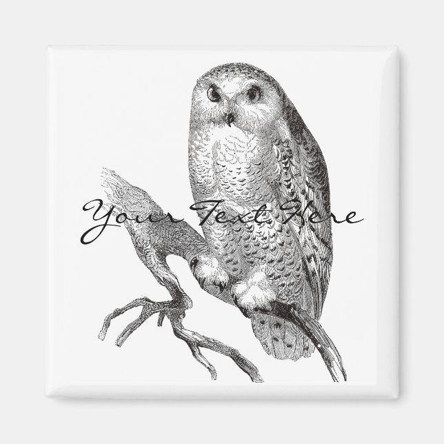 Imã Vintage Snowy Owl Magnet (Frente)