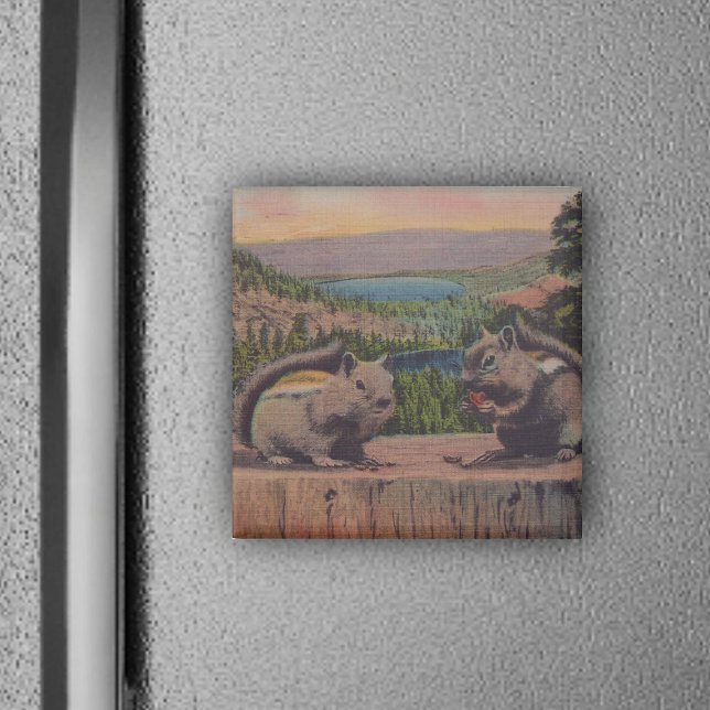 Imã Vintage Squirrels Mountain Scene (Two cute chipmunks in forest on tree stump on magnet.)