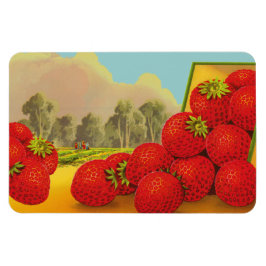 Ímã Vintage Strawberry Crate Magnets