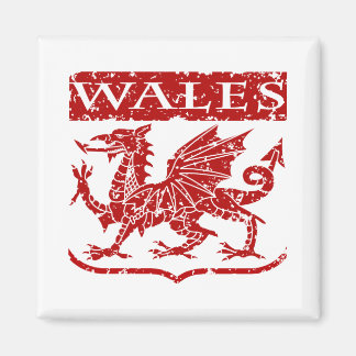 Imã Vintage Wales