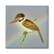 Vintage White Eared Puff Bird com o Rainbow Sky