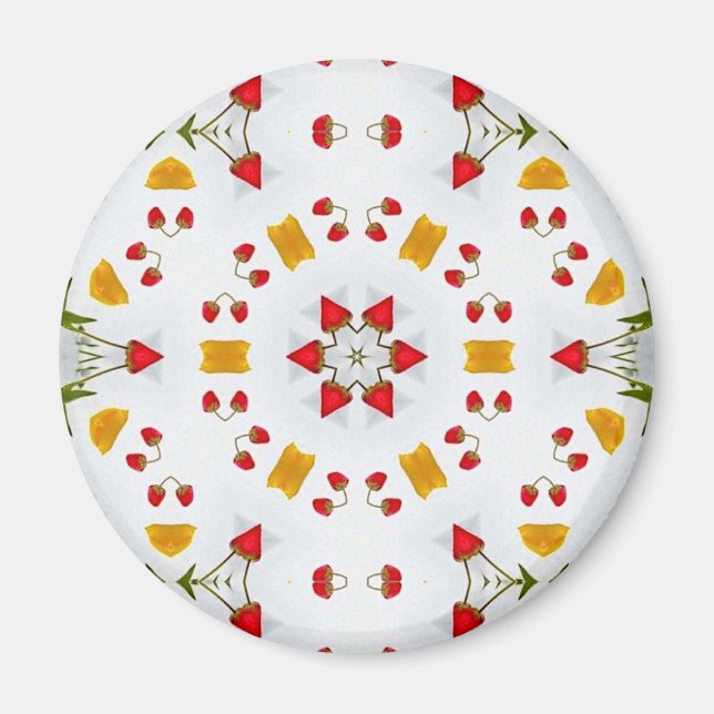 Imã Vintagem do Meio século Atômica (Frente)