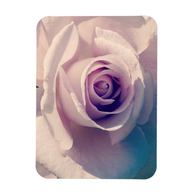 Ímã Violet Rosa (Vertical)