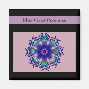 Imã Violeta Azul Perene