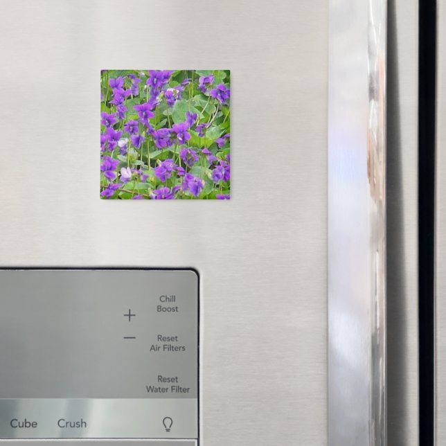 Imã Violetas de Madeira em Wisconsin - Personalizadas (In Situ (Fridge))